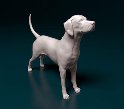 dálmata perro animal listo imprimir stl obj estatua raza 3d print model - Mito3D
