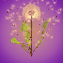 dandelion plants flowers nature landscape forest leafs green flying particles hair rigged 3d print model - Mito3D
