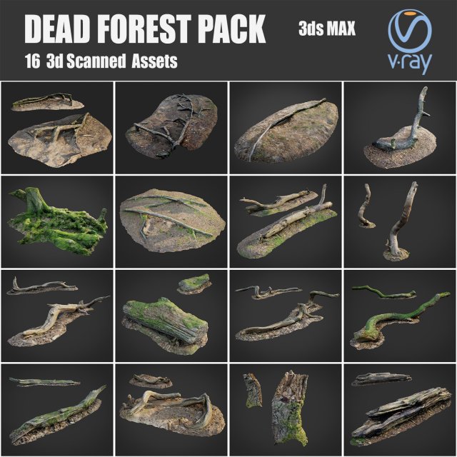 morto floresta ativos agrupar pacote pedra Rocha árvore forrest raiz musgo gras pobre obj max vray coleção terra 3d Varredura natureza 3D print model - Mito3D