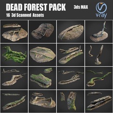 dead forest asset bundle pack stone rock tree forrest root moss gras lowpoly obj max vray collection ground 3d scan nature 3d print model - Mito3D