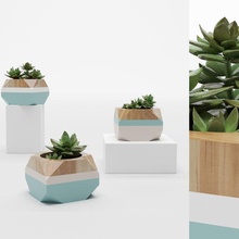 decorative vase 430001 plants flowerpots decor pots flower trees green cactus 3d print model - Mito3D