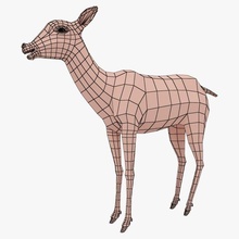 geyik temel örgü 3d model in 3dexport ağ hayvan şekil çokgen 3d print model - Mito3D