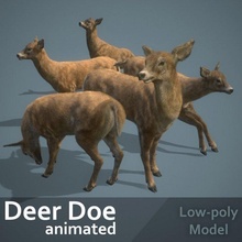 deer doe animated pbr low-poly 3d model in 3dexport megaloceros giganteus horn hunter hunting ungulate quadruped mammal herbivore animals virginia nature forest speed decoy 3d print model - Mito3D