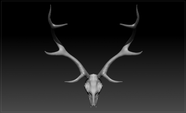 veado scull 3d modelo in 3dexport deerscull cabeça troféu trofeu 3D print model - Mito3D