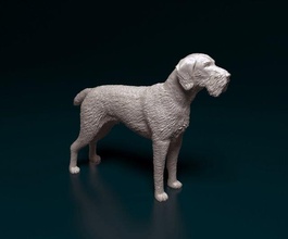 deutsch drahthaar 3d print model in figurines 3dexport hunt printready stl obj statue dog animal 3d print model - Mito3D