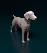 Alemán cabello corto perro animal listo imprimir imprimible stl obj alemán Drahthaar 3d print model - Mito3D