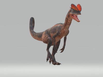 dilophosaurus dinosaurier bereit to drucken 3d modell tiere 3dexport prähistorisch paläontologie raubtier jurassisch reptil ausgestorben kreatur raubvogel monster tier dilophosaurus dinosaur tyrannosaurus charakter dino tierwelt natur 3d print model - Mito3D