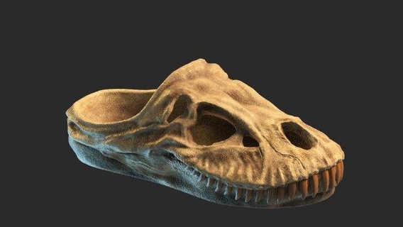 dinosaur focil sandals 3d print model - Mito3D