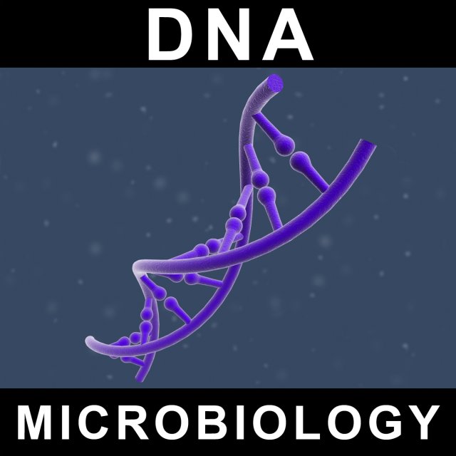 dna 3d model in anatomi 3dexport modeller kromozom mikrobiyoloji biyoloji insan hücre hayvan üreme vücut tıbbi bilim yapı elektron atom mikroskop 3D print model - Mito3D