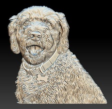 perro con la cabeza de alivio - 2018 art escultura retrato a lo perrito medalla el zoológico basrelief imagen 3d print model - Mito3D