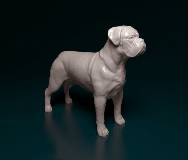 dogue do bordeaux 3d stampa modello in figurine 3dexport stl obj printready razza 3D print model - Mito3D