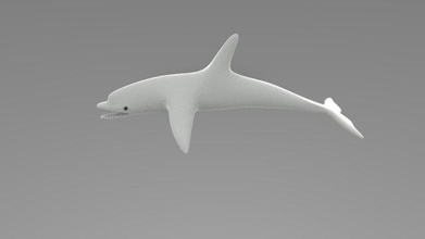dolphin dolphin 3d print model - Mito3D