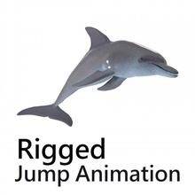 dolphin rigged jump animation sea amination animal ocean 3d print model - Mito3D