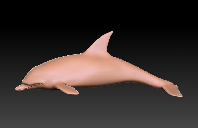 delfino 3d modello in 3dexport 3D print model - Mito3D