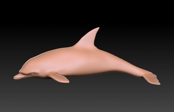 delphin 3d modell delfin 3dexport 3d print model - Mito3D
