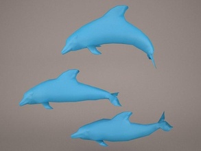 dolphins dolphin porpoises delphinid aeanimal bottlenose flipper tursiops truncatus toothed aquatic fish whale realistic game scanline poly pose morph jump 3d print model - Mito3D
