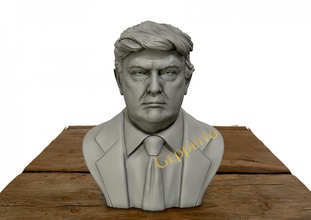 donald trump 3d bust donaldtrump figurines head human miniatures people president sculpture staue 3d print model - Mito3D