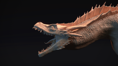 drachen büste spiel of throne droogon 3d druckbar modell drucken monster kreaturen 3dexport 3d print model - Mito3D