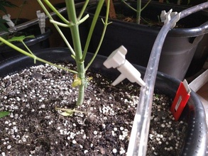 goutte irrigation l'eau cannabis plantes 3d print model - Mito3D