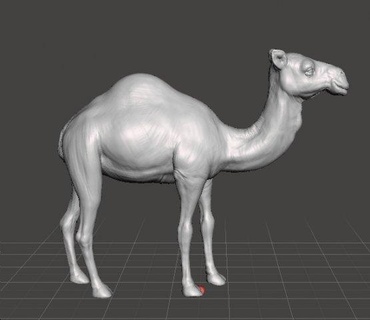 tek hörgüçlü deve şekil model hayvan yaratık yaban hayatı rpg dnd hayvanlar zürafa Afrikalı doğa çöl Arap canavar Hayvan arkadaşı fantezi oyuncak heykelcik minyatür dungeons and dragons 3dprint orman binmek maceracılar 3d print model - Mito3D