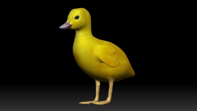 duckling 3D print model - Mito3D