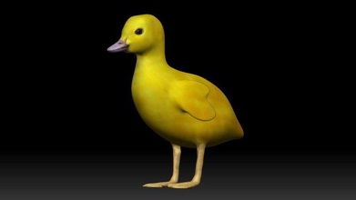 duckling 3d print model - Mito3D