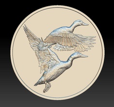 ducks coin - relief -2019 3d print model in coins badges 3dexport bird art symbol nature wildlife duck fauna gold aninal money dollar medal cash coin-badges 3d print model - Mito3D