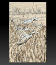 ducks reeds - relief 2019 bird nature art duck fauna river water scenery picture scene basrelief sculpture hunt hunting 3d print model - Mito3D