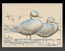 les canards de la rivière - secours 2017 le canard d'oiseaux faune l'eau paysages image scène un soulagement bas-relief, il nature art sculpture 3d print model - Mito3D