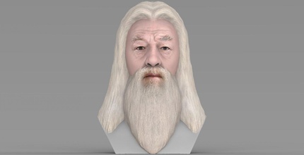 dumbledore harry potter bust full color 3d printing albus slytherin gryffindor voldemort severus snape ron weasley hermione hogwarths rowling 3d print model - Mito3D