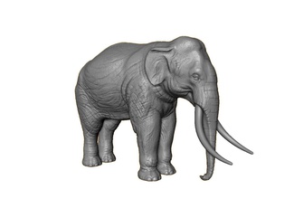 elefant poly 3d drucken modell tiere 3dexport highpoly indisch tier säugetier 3d print model - Mito3D