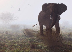 elefante mamá niño vr ar low poly 3d modelo in 3dexport elemento elementos animal naturaleza mamífero áfrica salvaje zoo bestia selva criatura dibujos animados 3d print model - Mito3D