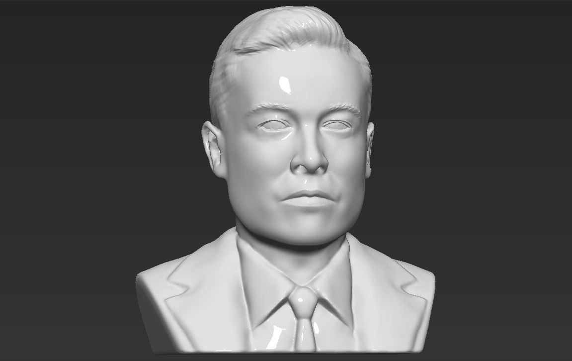 elon musk buste de l'impression 3d ready obj, stl le musc projet loi des portes stephen hawking marque zuckerberg bitcoin genius ethereum célèbre spacex la nasa l'astronaute célébrité science physique 3D print model - Mito3D