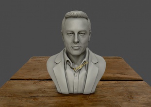 elon almizcle 3d impresión modelo in escultura 3dexport 3dsculpture arte busto elon musk cabeza humano neuralink esculturas spacex tesla 3d print model - Mito3D