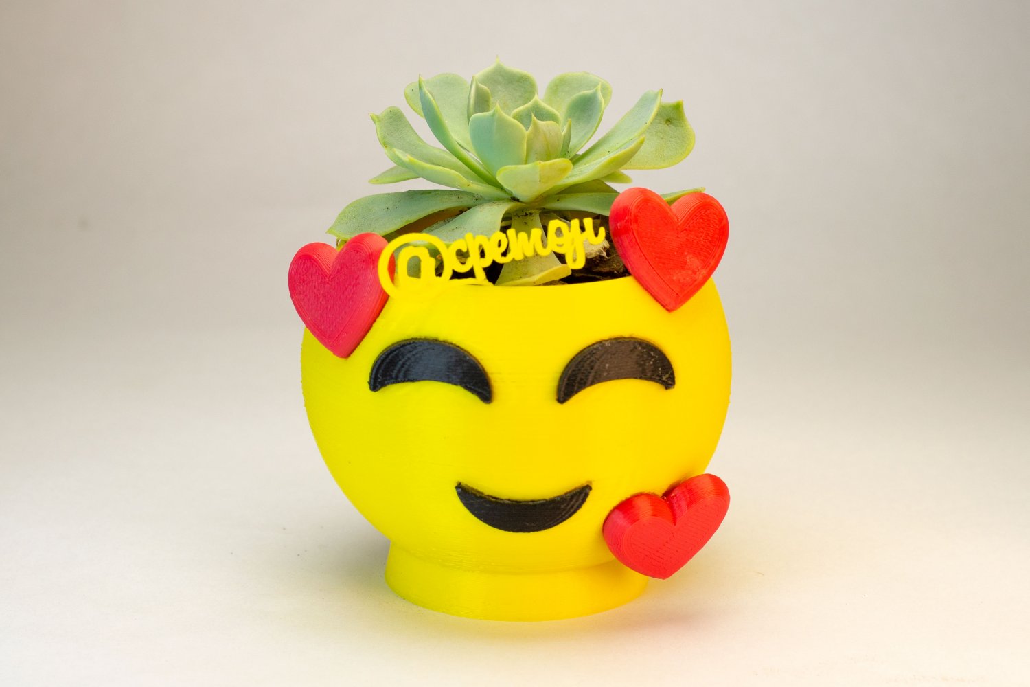 emoji in love flower pot 3d print model decor 3dexport emojis modern plant plot cactus suculenta suculent cactu plants plots 3D print model - Mito3D