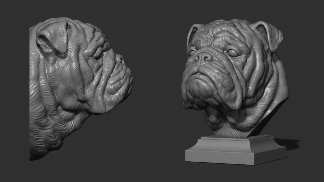 english bulldog bust animals dog sculpture art head statue decor printable miniatures pendants cnc relief jewelry sculptures 3D print model - Mito3D