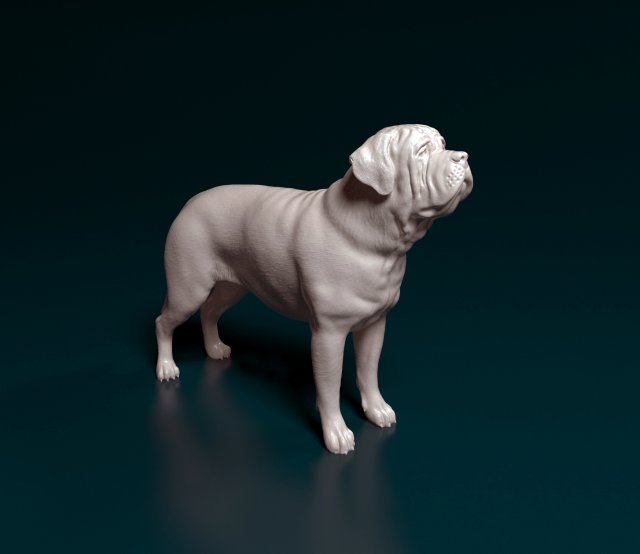 inglés mastín 3d impresión modelo in figuritas 3dexport stl obj perro animal listo imprimir 3D print model - Mito3D