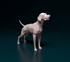 english pointer dog animal printready stl obj printable hunt 3d print model - Mito3D