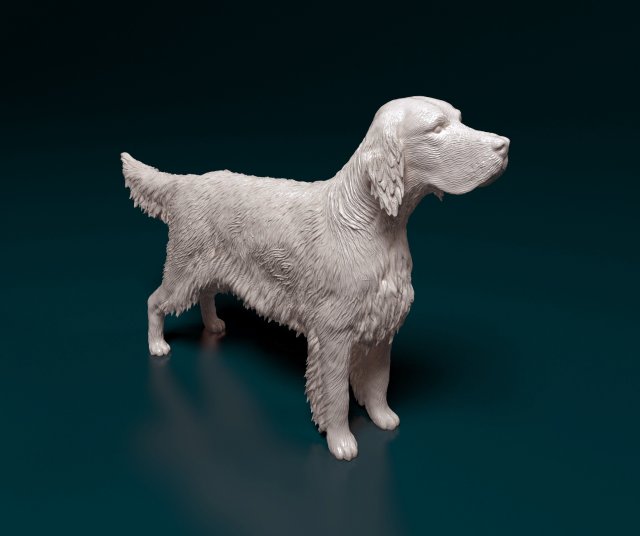 english setter 3d print model in figurines 3dexport dog animal stl obj printready 3D print model - Mito3D