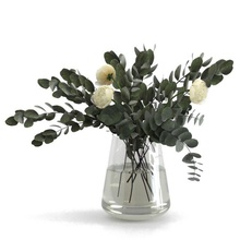 eukalyptus strauß 3d modell blumen 3dexport pflanze vase blatt ast blume 3d print model - Mito3D