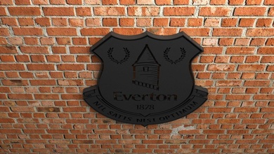 Everton fc logotipo objetivo Esportes jogos Toque futebol fifa liga campeonato concorrência Europa ícone estádio equipe campeões 3d 3dprint esculturas 3d print model - Mito3D