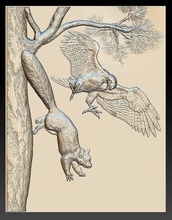 falcão de caça esquilo - socorro 2019 a arte animais jardim zoológico predador pássaro floresta fauna basrelief imagem cena paisagem natureza caçar escultura 3d print model - Mito3D