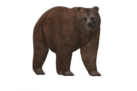 fat brown bear ready print animals sculpture black animal teddy statue nature printable sculptures beast creature furry mammal wild forest textured character fur 3d print model - Mito3D