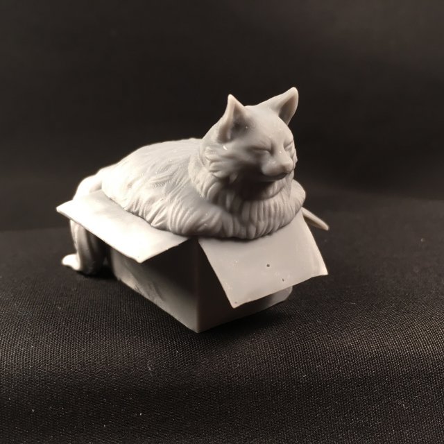 fat cat box 3d printing print model animals animal nature statuette pet printable 3D print model - Mito3D