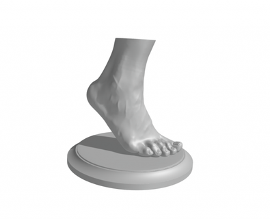 ayak ayak Pati heykel anatomi ayak ayak Pati ped kişi insan adam Kadın 3d print model - Mito3D