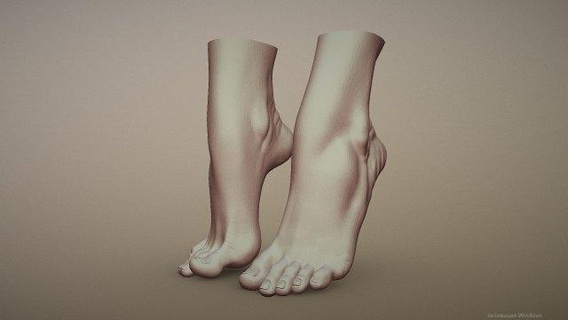 femmina piede 2 anatomia corpo stl scolpire umanoide stampa gamba piedi Stampa donna carattere ragazza 3d zbrush umano 3d print model - Mito3D