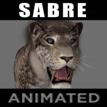 female sabretooth - 3d animated model in cat 3dexport lioness tiger mammal animal feline leopard zoo cheetah lion puma fur lynx thailand wild africa leon leona cougar panther 3d print model - Mito3D
