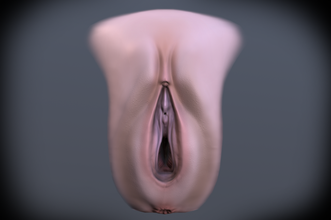 female vagina realistic genital anatomically vagina organ female woman sex animation