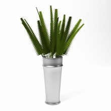 helecho verde planta maceta plantas interior 3d print model - Mito3D
