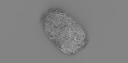 fingerprint 3d print model in anatomy 3dexport decor finger 3d print model - Mito3D